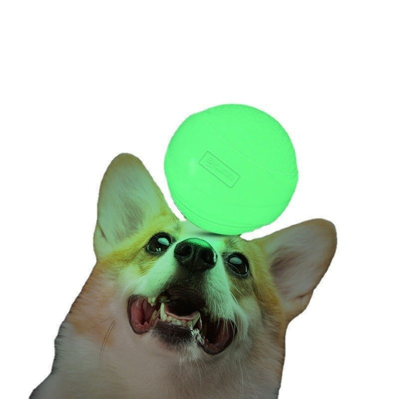 Luminous Toy Ball Puppy Dog Molar Elastic Ball Rubber Ball