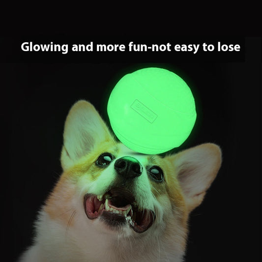 Luminous Toy Ball Puppy Dog Molar Elastic Ball Rubber Ball